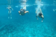 Snorkeling in crystal-clear sea near Vis island on tour