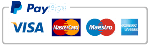 PayPal payment logo